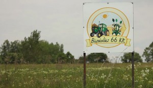 Bk66