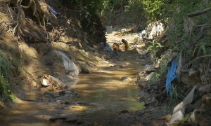 Egy kőfaragó cég hulladékkal töltötte fel az ürömi patakot, azbesztpala és törmelék gátolja a víz útját