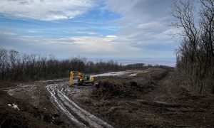 Lőtér mégsem épül, de megkopasztottak egy erdős hegyoldalt Tokajban