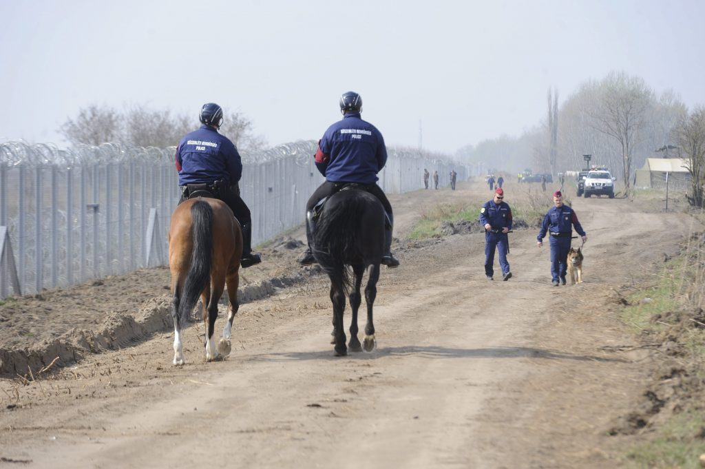 Illegális Bevándorlás A Szerb Magyar Határ Ásotthalomnál