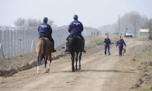 Illegális Bevándorlás A Szerb Magyar Határ Ásotthalomnál