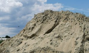 Fecskékkel együtt hordhatták el a homokot egy mórahalmi bányából, a rendőrség nyomoz