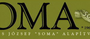 Soma-díj 2014: jelöld a kedvenc fiatal oknyomozó újságíródat!