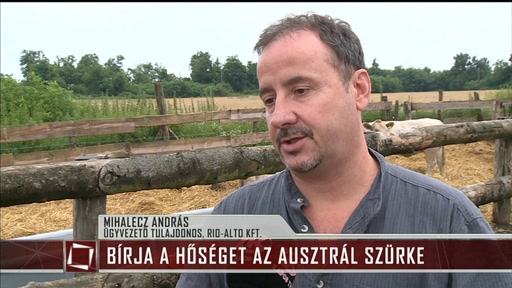 Mihalecz András a kaposvári Fidesz-frakció vezetője