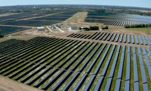 Kínai cégnek hozhat hasznot a 220 hektár termőföldön épült napelempark, vétózott az EMMI
