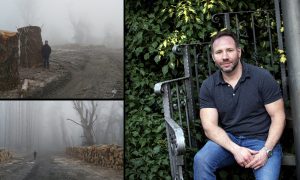 Hiába ültetünk fát, ha közben kivágjuk az erdőt – interjú a WWF Magyarország erdővédelmi szakértőjével