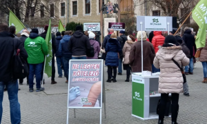 Oltás- és Orbánellenes tüntetés Kecskeméten, alkukötés Badacsonytomajon