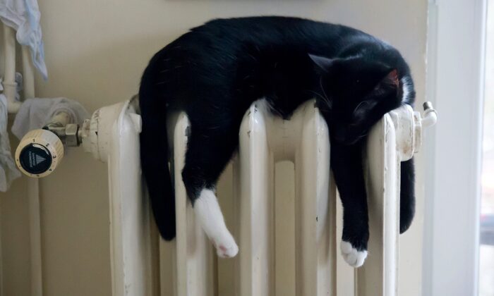 Különadóból fizetett rezsistop, kenőpénz kérésével gyanúsított DK-s alpolgármester