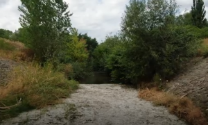 Se víz, se felelős – Videóriport a kiszáradt Tarna patakról