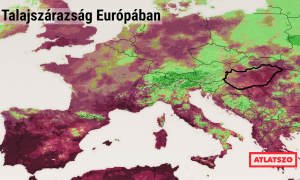 Az aszály miatt súlyos tűzveszély fenyegeti Kelet-Magyarországot és Európa jelentős részét