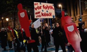 Nem védi meg a magyar nőket az erőszaktól a kormány különutas módszere