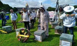 Brutális téli méhpusztulás: francia méhészek tüntettek a vegyszerek visszaszorításáért