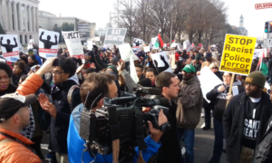 Ezrek tüntettek a rendőri brutalitás ellen Washingtonban