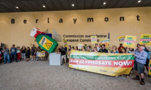 A Monsanto-Bayer uniós győzelmet aratott a glifozátról szóló küzdelemben