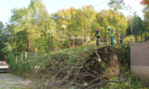 Mészáros Lőrinc cége építkezik a Gellért-hegyen kivágott erdő helyén