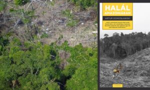 Amazóniában környezetvédőket és újságírókat is gyilkolnak az esőerdők elpusztítói