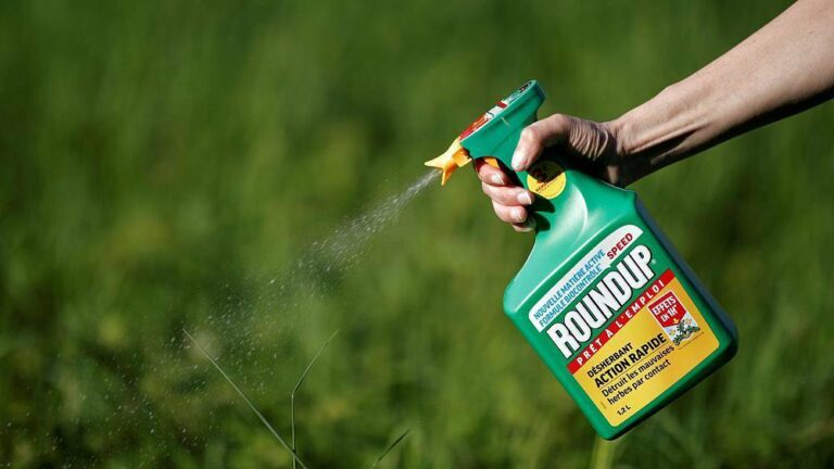 Roundup