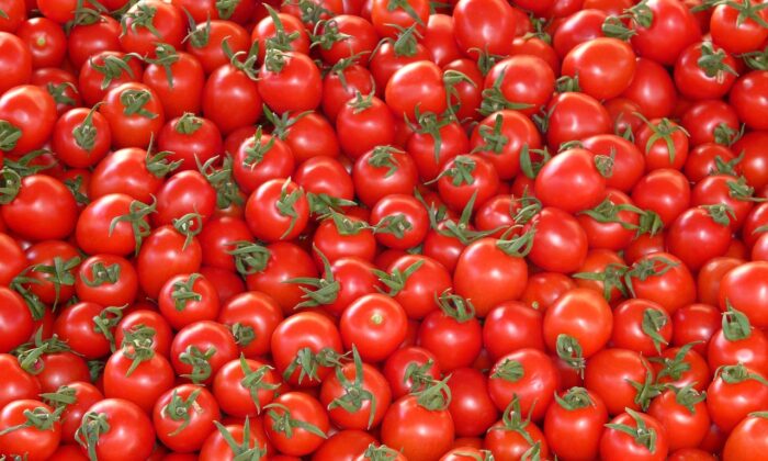 Tomatoes 73913 1280