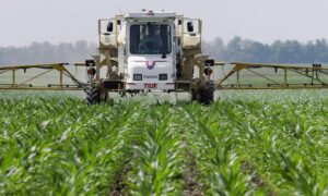 Gyomirtó a reggeliben: újabb nyugtalanító hírek a Monsanto slágermolekulájáról