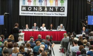 Egy jelképes nemzetközi bíróság szerint a Monsanto számos jogsértéssel vádolható