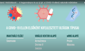 Védőoltások, vírusok, baktériumok, immunsejtek és antibiotikumok animációs kisfilmeken