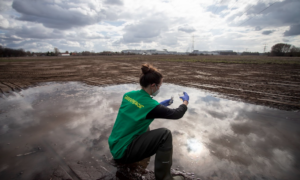 Magzatkárosító oldószert talált a Greenpeace a gödi szennyvízben