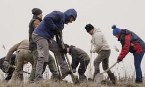 Zöld Gerillák: a víz visszatartása az Alföldön 