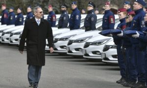 Mti fotó pintér