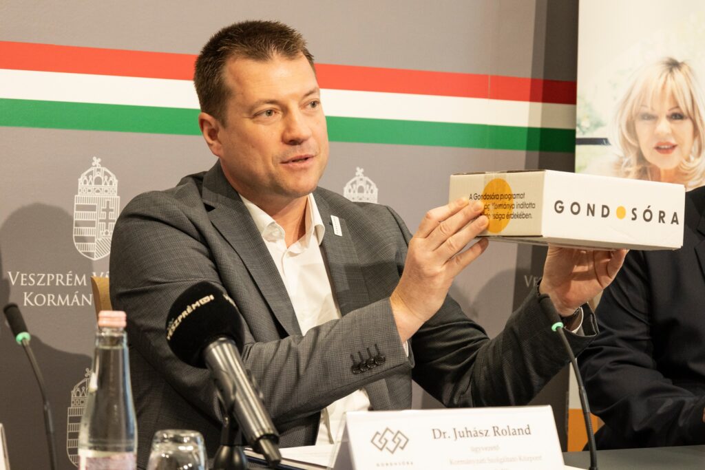 Gondosóra juhász