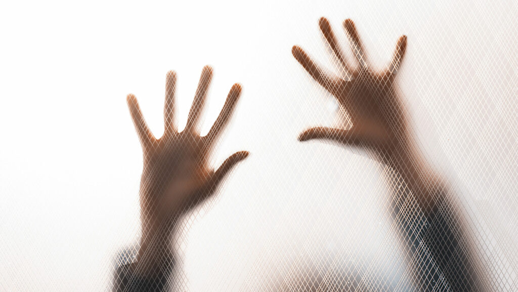 Violence against women in the domestic walls concept
