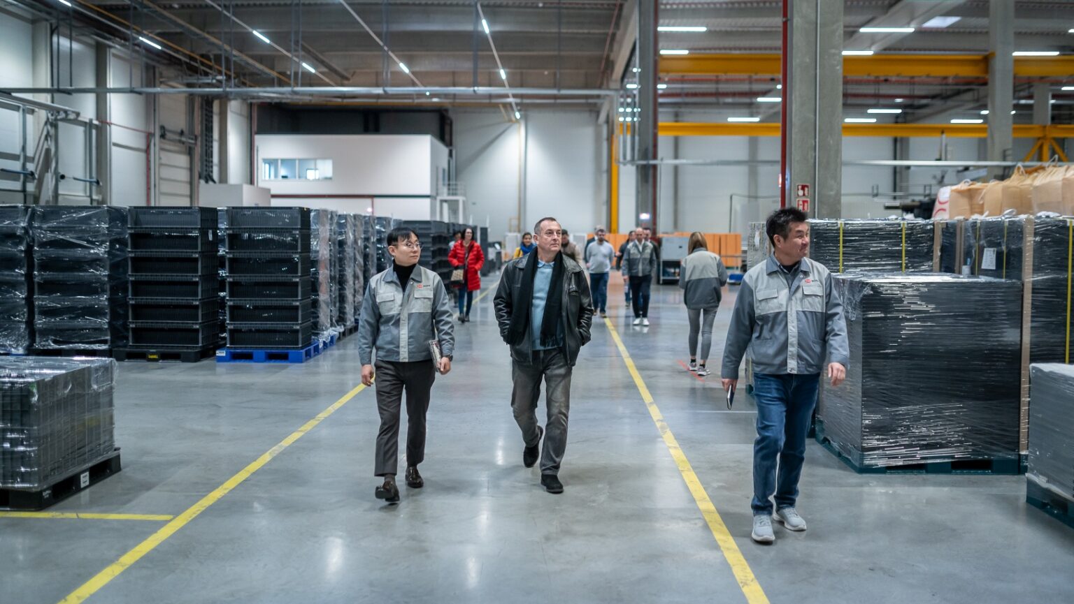 Helloparks maglód esdwork