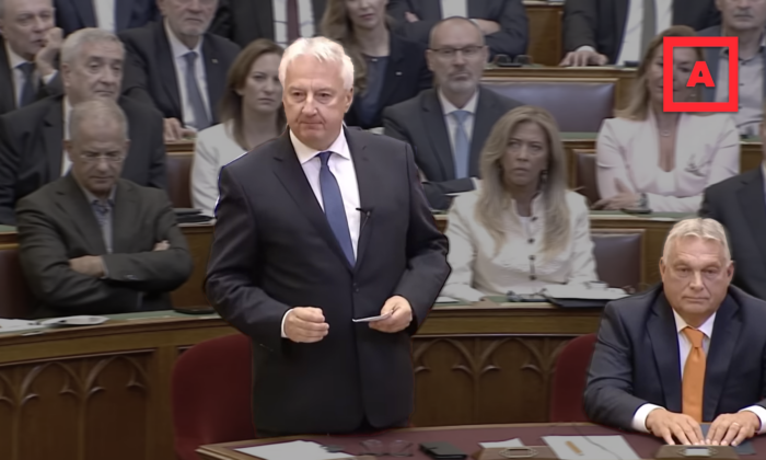 Kegyelmi botrány, Schadl-Völner-ügy: mi áll a „Zsolti bácsizás” mögött?