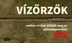 Vizorzok clapkep