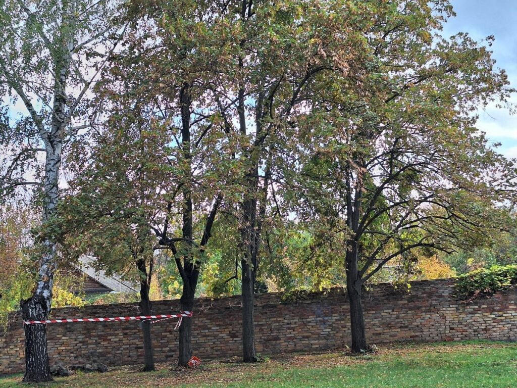 Fel nem robbant eszközt egy szlovjanszki parkban