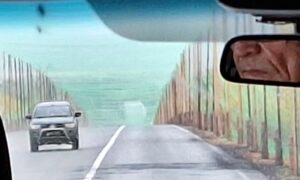 Hálót feszítenek ki a drónok elleni védekezésül az utak fölé a Donbaszban