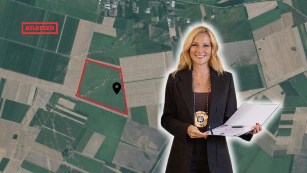 Signal 2025 10 30 204028 002