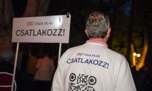 559144296 122204999534331146 454548407334418375 n