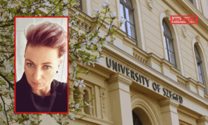 Sztefokpalyazatok clap