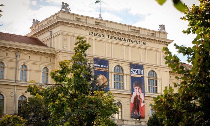 Visszavont abszolutórium, rokoni kinevezések, elhallgatott problémák