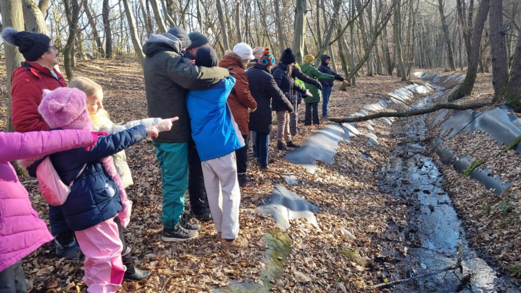 Vértesi Pénzespatakfólia