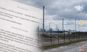 Ef1331a3 d25d 4b99 9101 ea84b8221d71