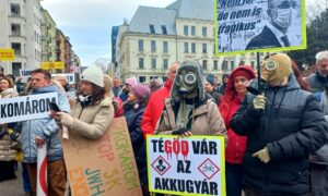 633957491 1233840718883173 5418473383538856783 n