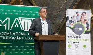 Gyuricza csaba mate rekotr