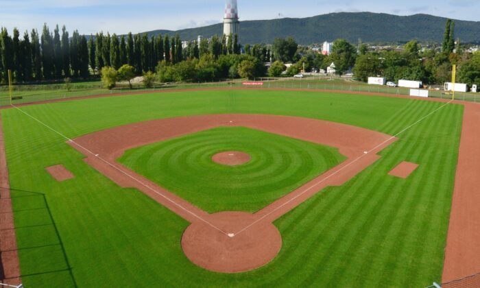 A hazai pályát fejleszti a budapesti baseball-szövetség elnöke az állami támogatásokból
