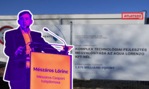 Lorenzo clap