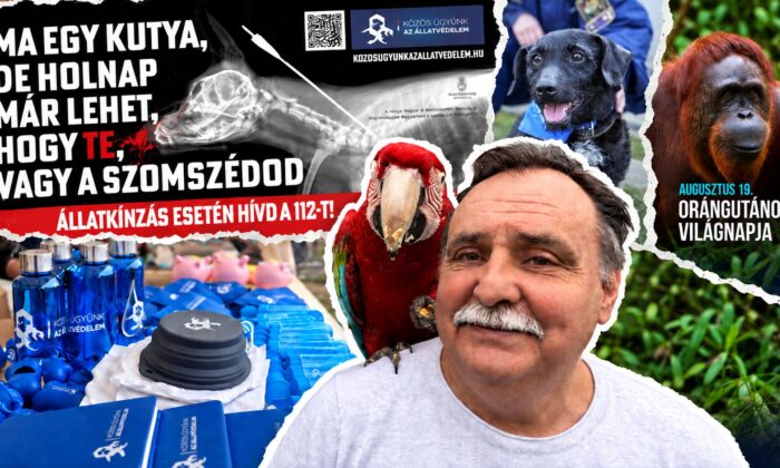 Árva kutyák mellett BBQ-szettekre és softshell kabátokra ment a pénz az állami állatvédelmi alapítványnál